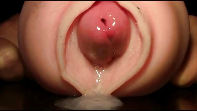 Porno - Fitsex freie deutsche sex videos